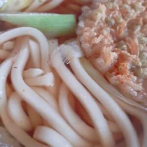 シンプル☆揚げ玉と海苔の温うどん